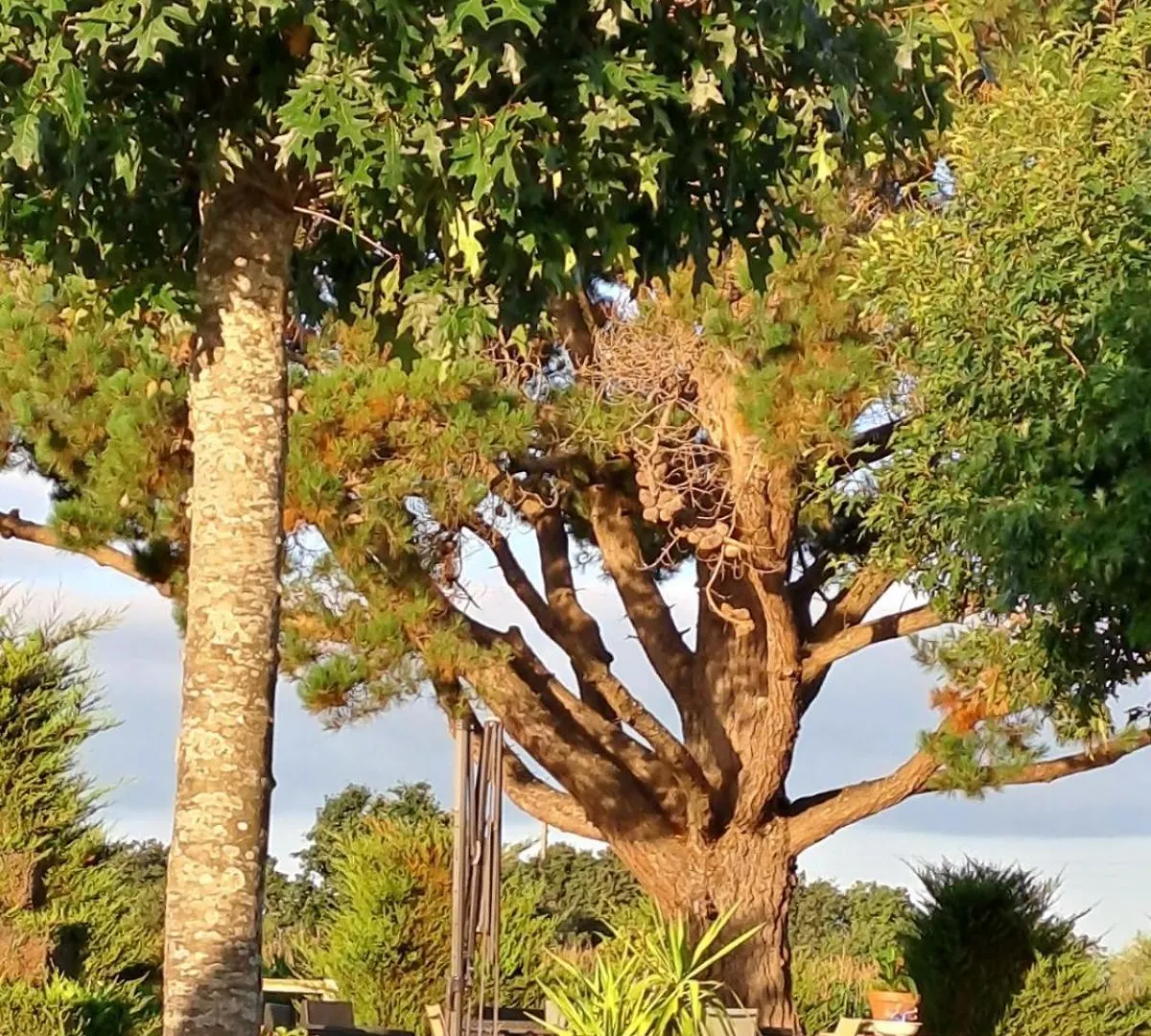 Hébergement de vacances Gite En Campagne Lamegritniere France